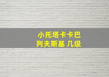 小托塔卡卡巴列夫斯基 几级